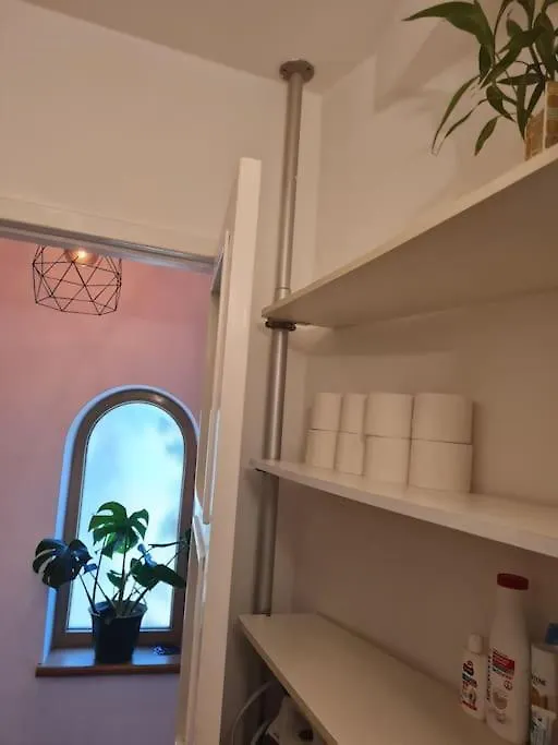 Apartment Independent Studio In A Villa With Garden Bucharest